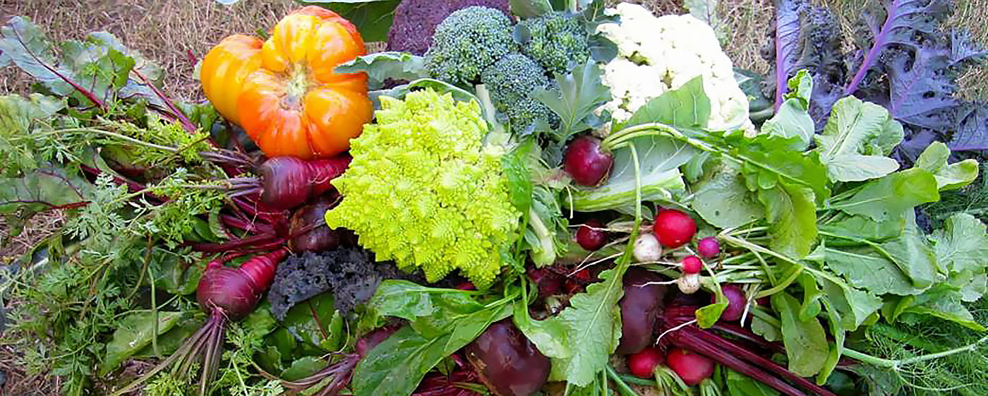 A photo of assorted fruits and vegetables.