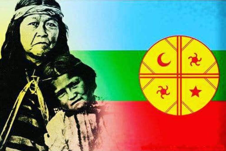 Mapuche flag