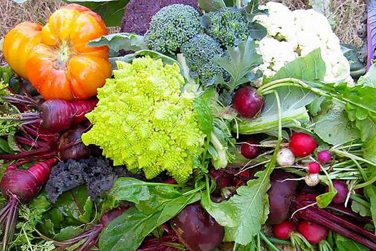 A photo of assorted fruits and vegetables. A photo of assorted fruits and vegetables.