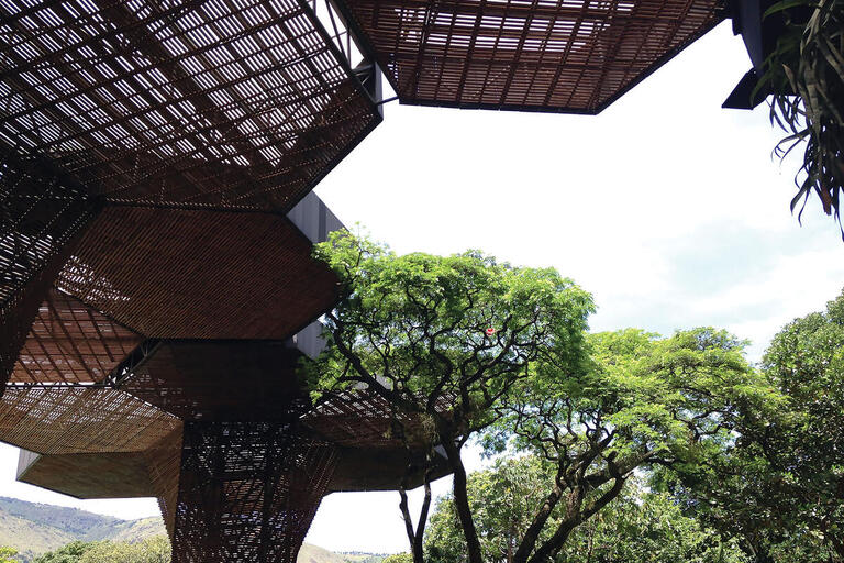Huge wooden trellises form the orchidarium at the renovated Medellín Botanical Gardens, Colombia. (Photo by SLClaasen.)