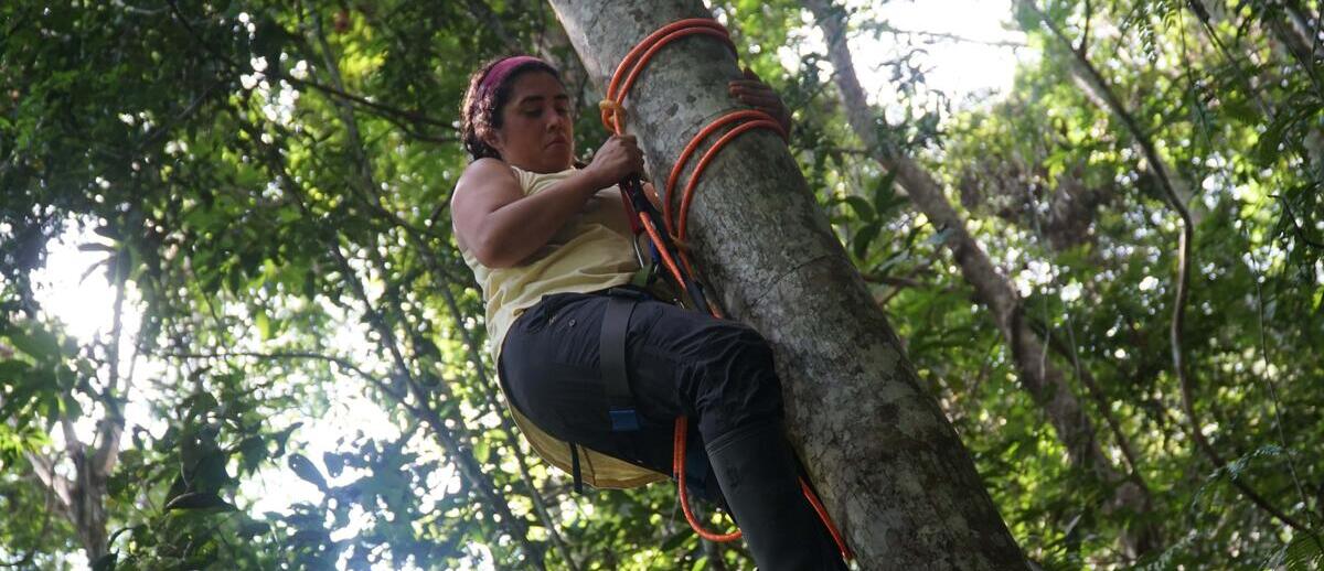 A student climbs a tree in the Peruvian Amazon