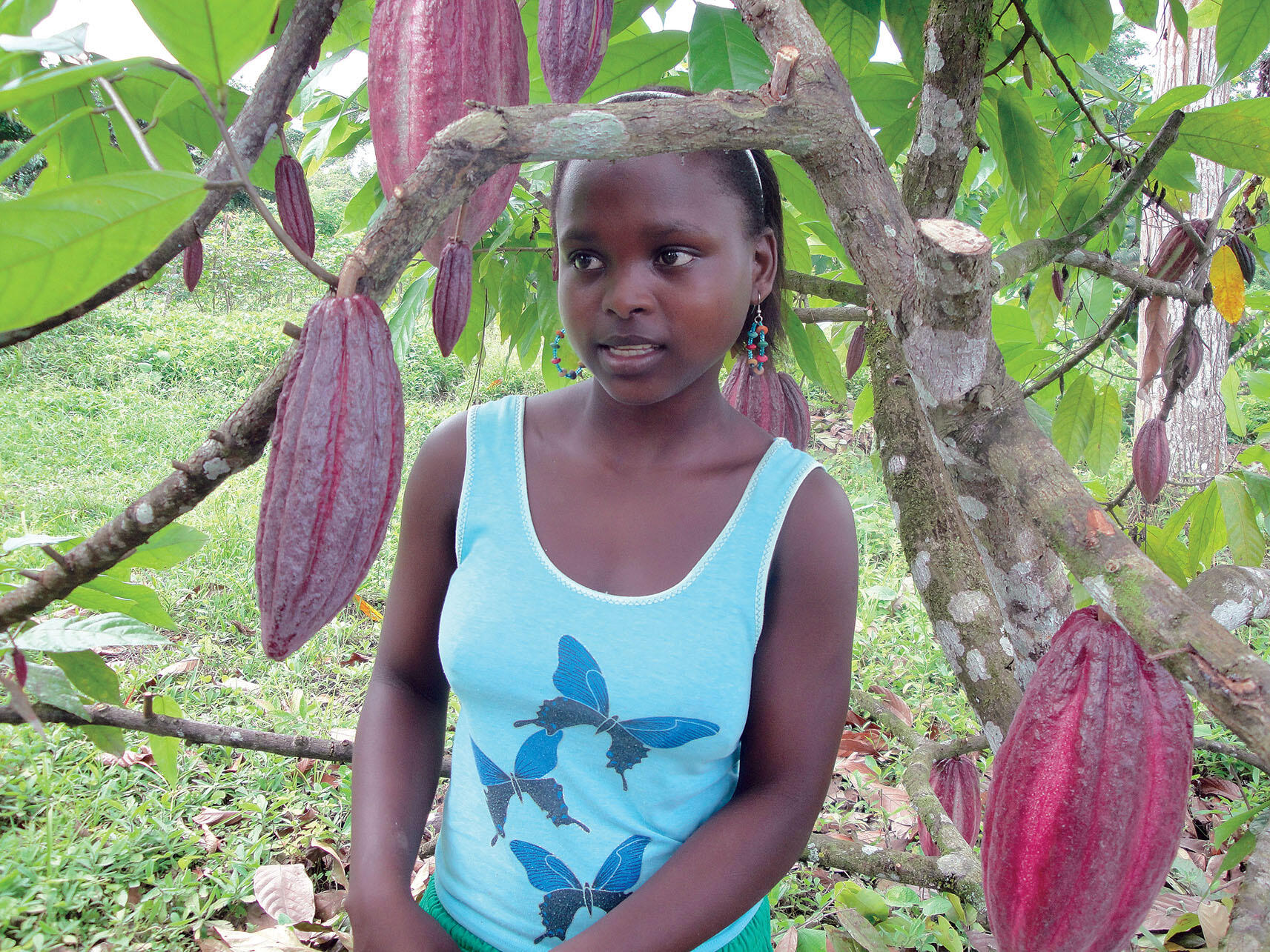 A young girl stands under trees among ripe cacao pods. (Photo by Sarah Krupp.)