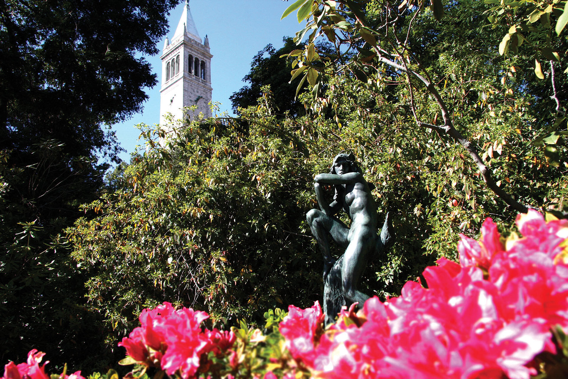 The campanile in the background of a photo of “The Last Dryad” wood nymph statue on the UC Berkeley campus. (Photo by Keegan Houser.)