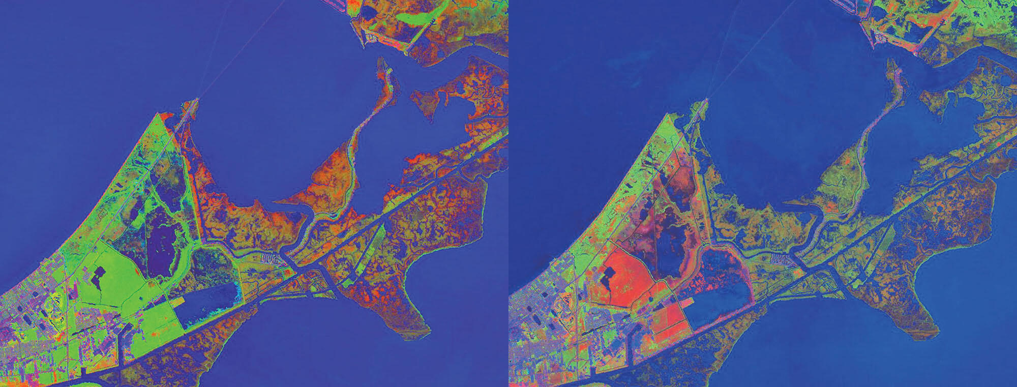 Spectral Mixture Analysis images showing the devestation of vegetation around New Orleans area before and after Hurricane Katrina. Images Jeffrey Chambers.)
