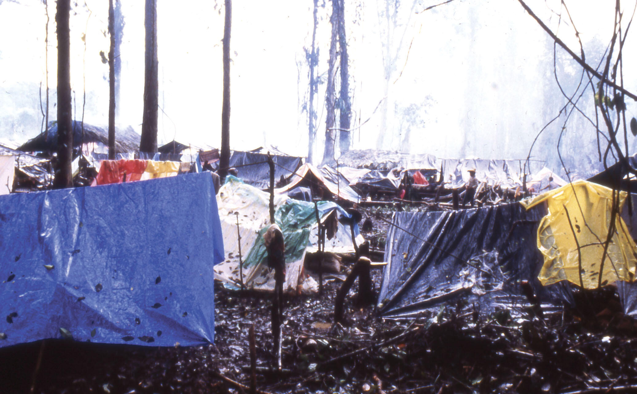 Lean-tos and tarps in the mud form the housing at Rancho Puerto Rico Camp, Lacandón rainforest, Chiapas, Mexico, November 1982. (Photo courtesy of Beatriz Manz.)