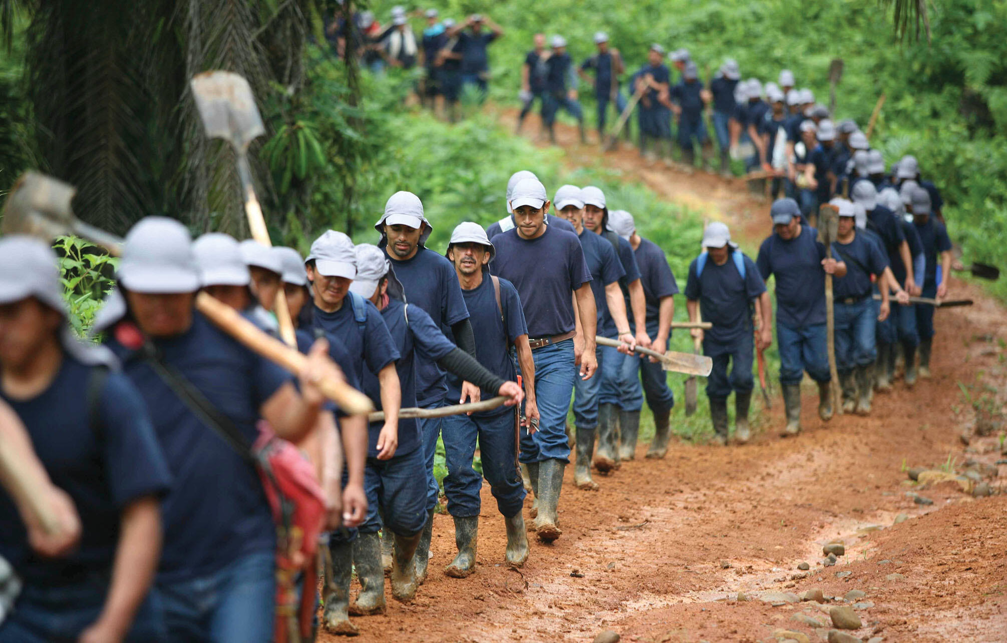 Hundreds of coca eradicators walk up a hill in the countryside to a coca field near Colombia’s southwestern border. (Photo by William Fernando Martinez/Associated Press.)